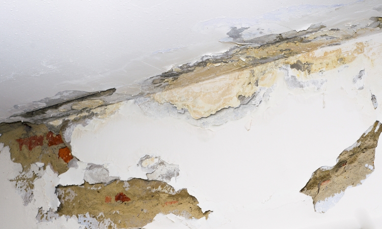 how to repair a water-damaged ceiling