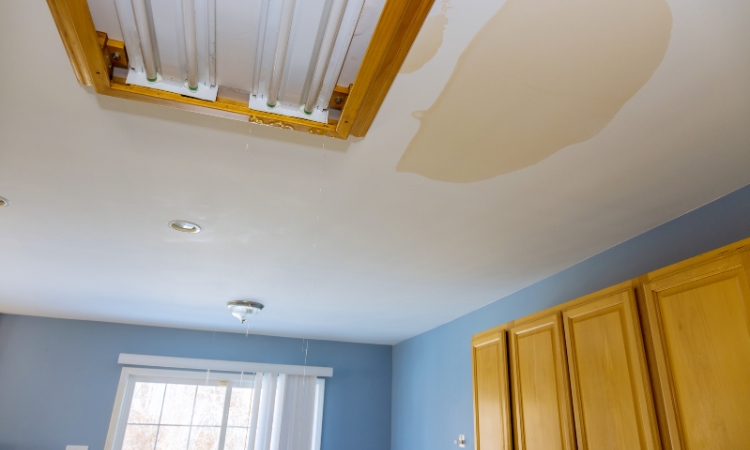 repairing a water-damaged ceiling