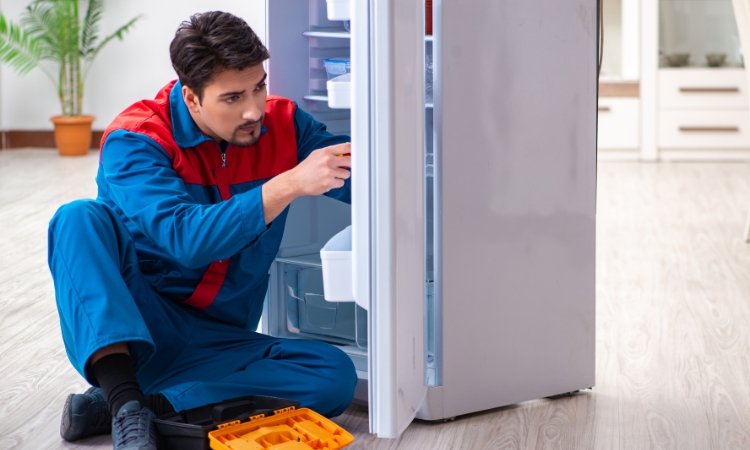 Fridge repair services