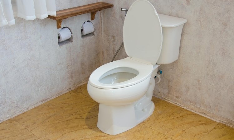 Replacing a toilet seat