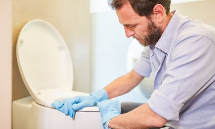 how to Replace a toilet seat