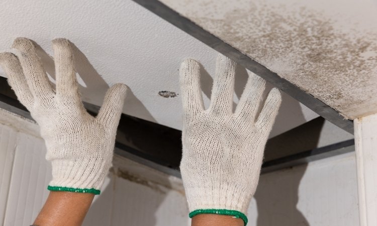 fix false ceiling problems